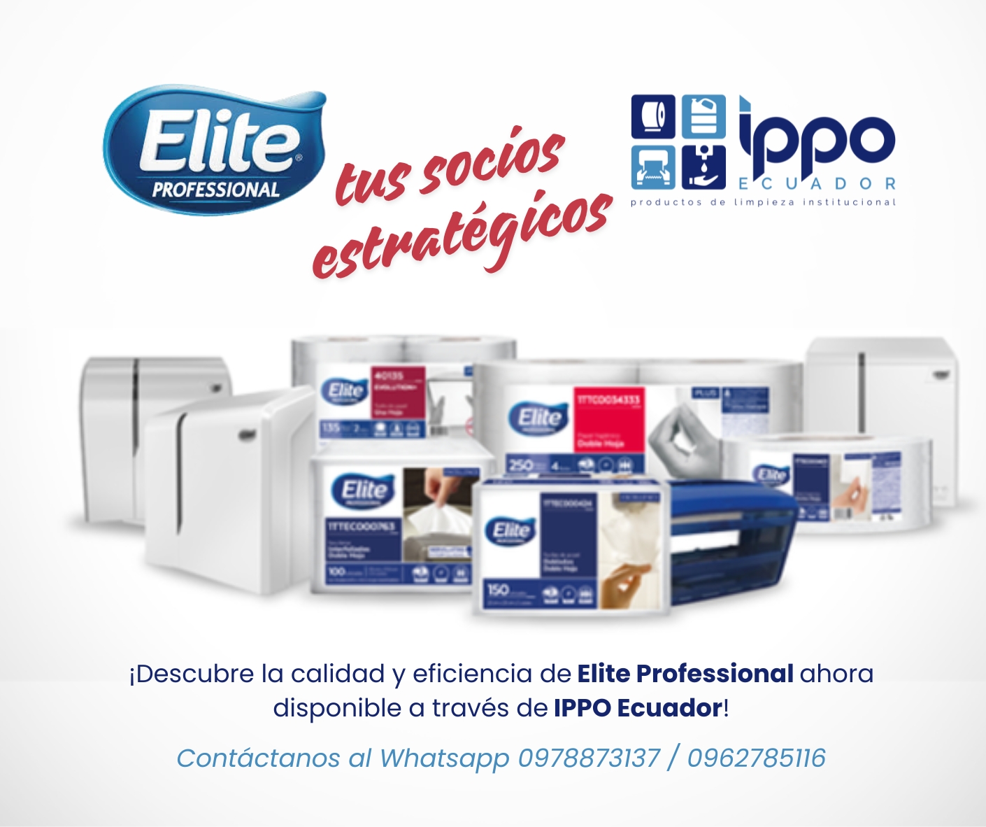 ippo ecuador distribuidor autorizado elite professional quito productos limpieza institucional